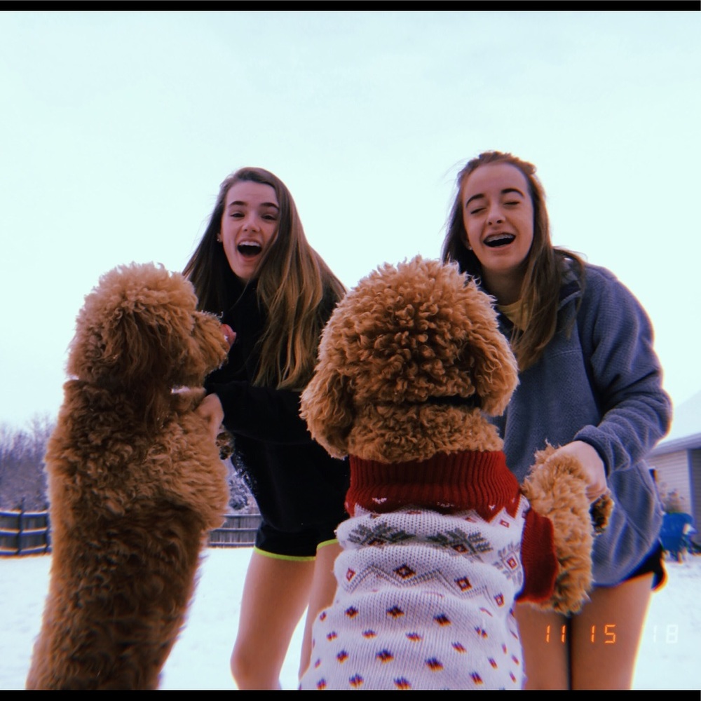 Meet your Posher, Maci